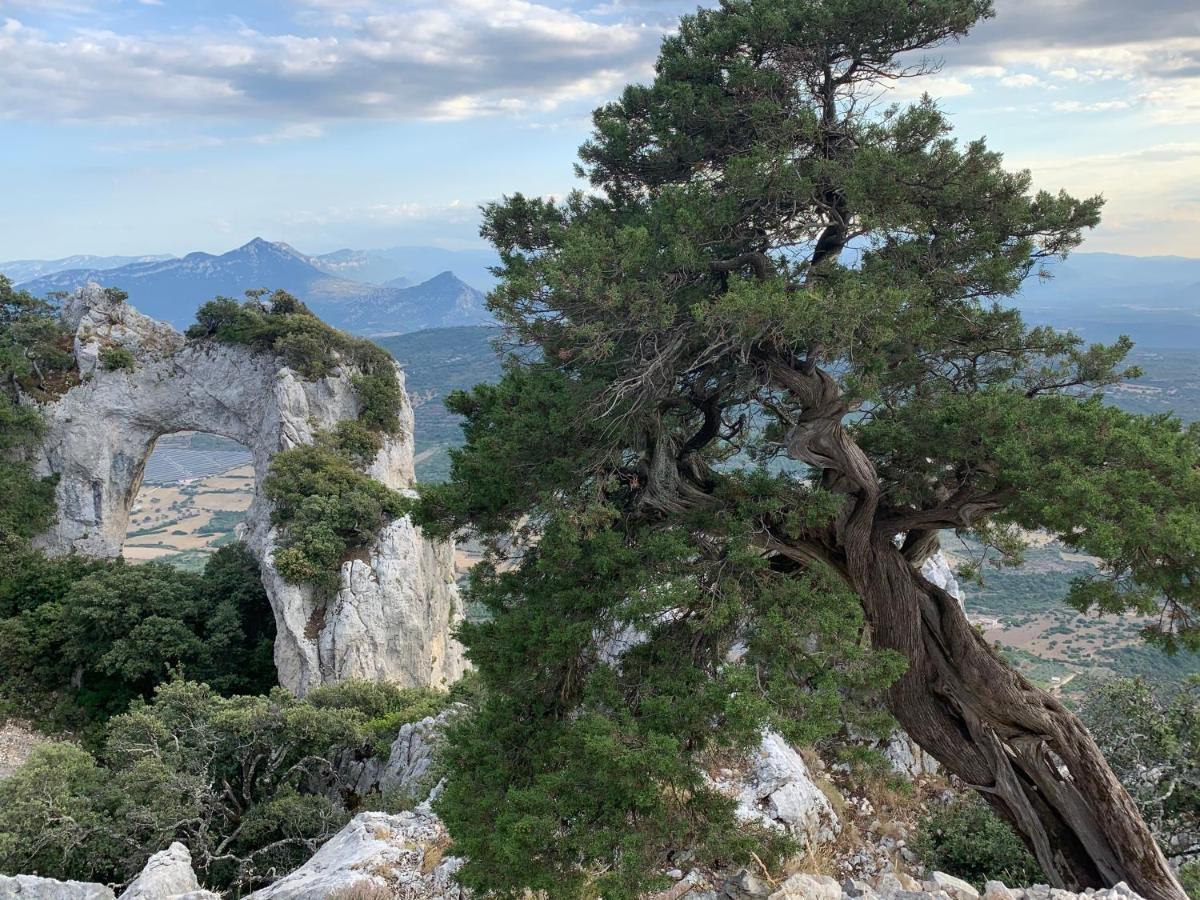 Sa Domu E Muru Galtelli Bagian luar foto