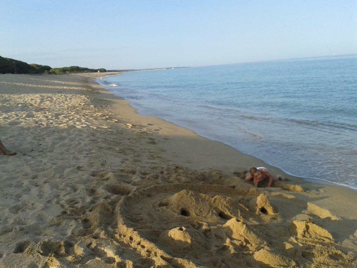 Sa Domu E Muru Galtelli Bagian luar foto
