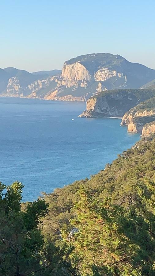 Sa Domu E Muru Galtelli Bagian luar foto